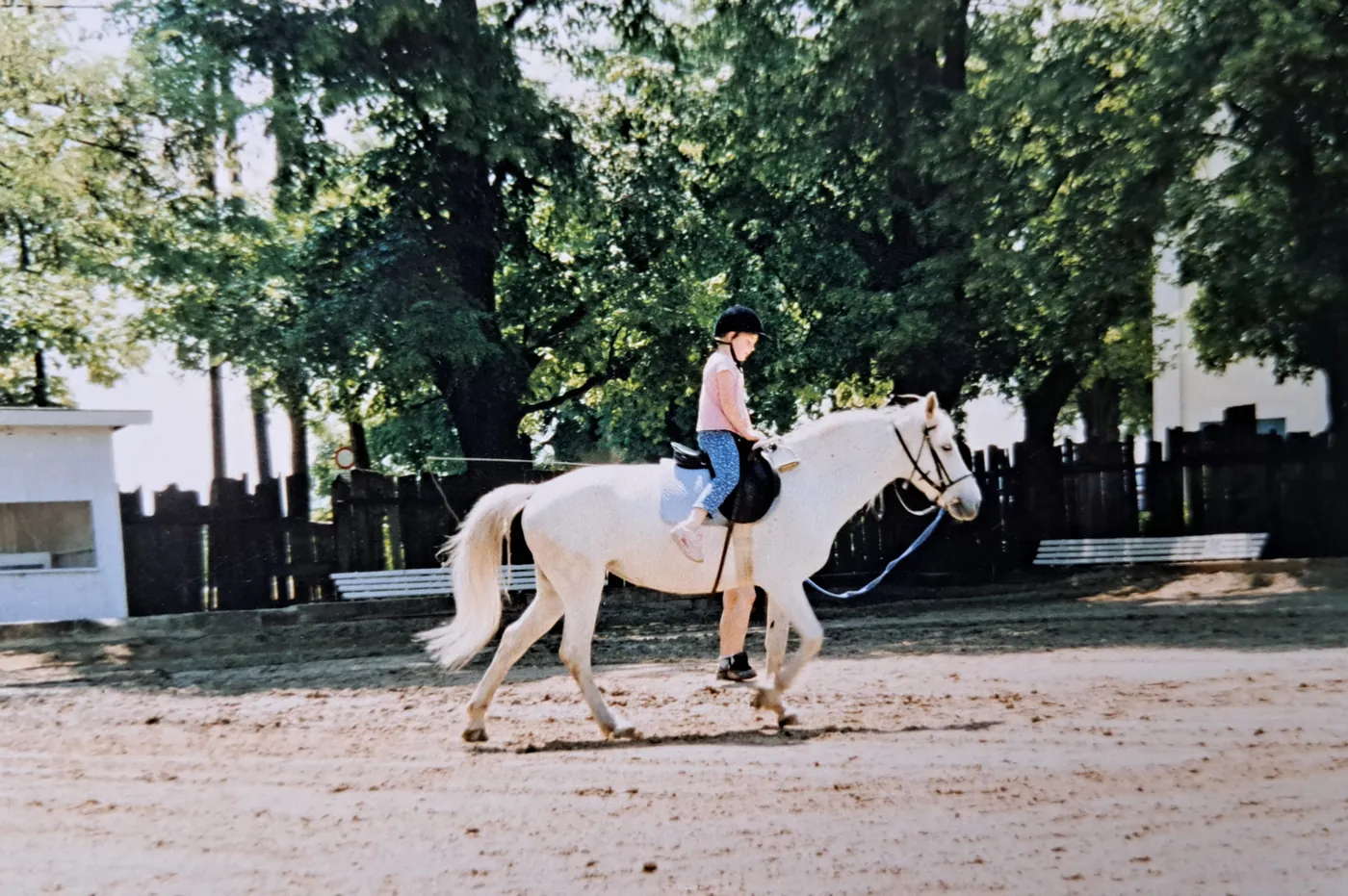 Foto aus Kristinas Zeit mit Schulpferden und Reitbeteiligungen (2 von 27)