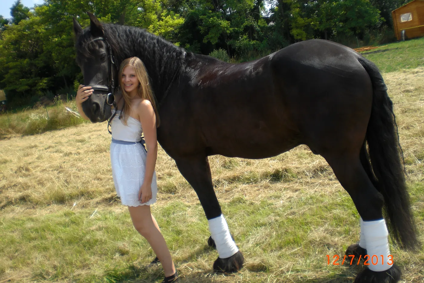 Foto aus Kristinas Zeit mit Schulpferden und Reitbeteiligungen (18 von 27)