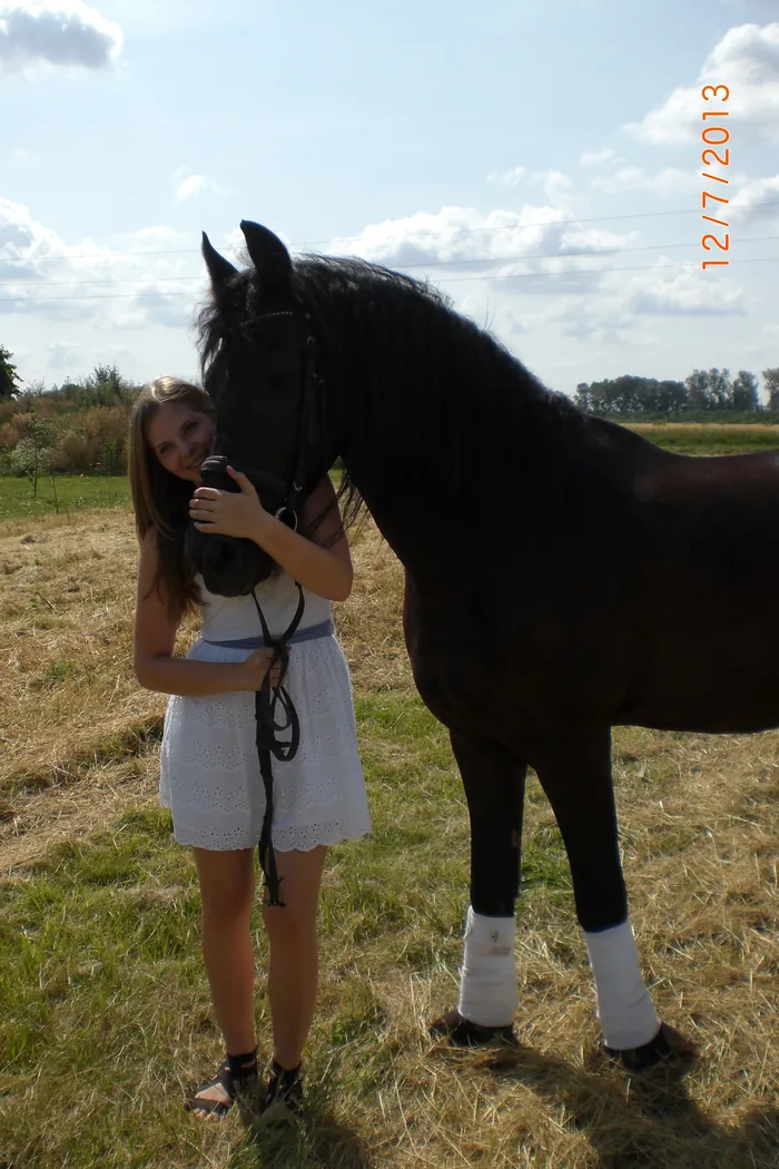 Foto aus Kristinas Zeit mit Schulpferden und Reitbeteiligungen (19 von 27)