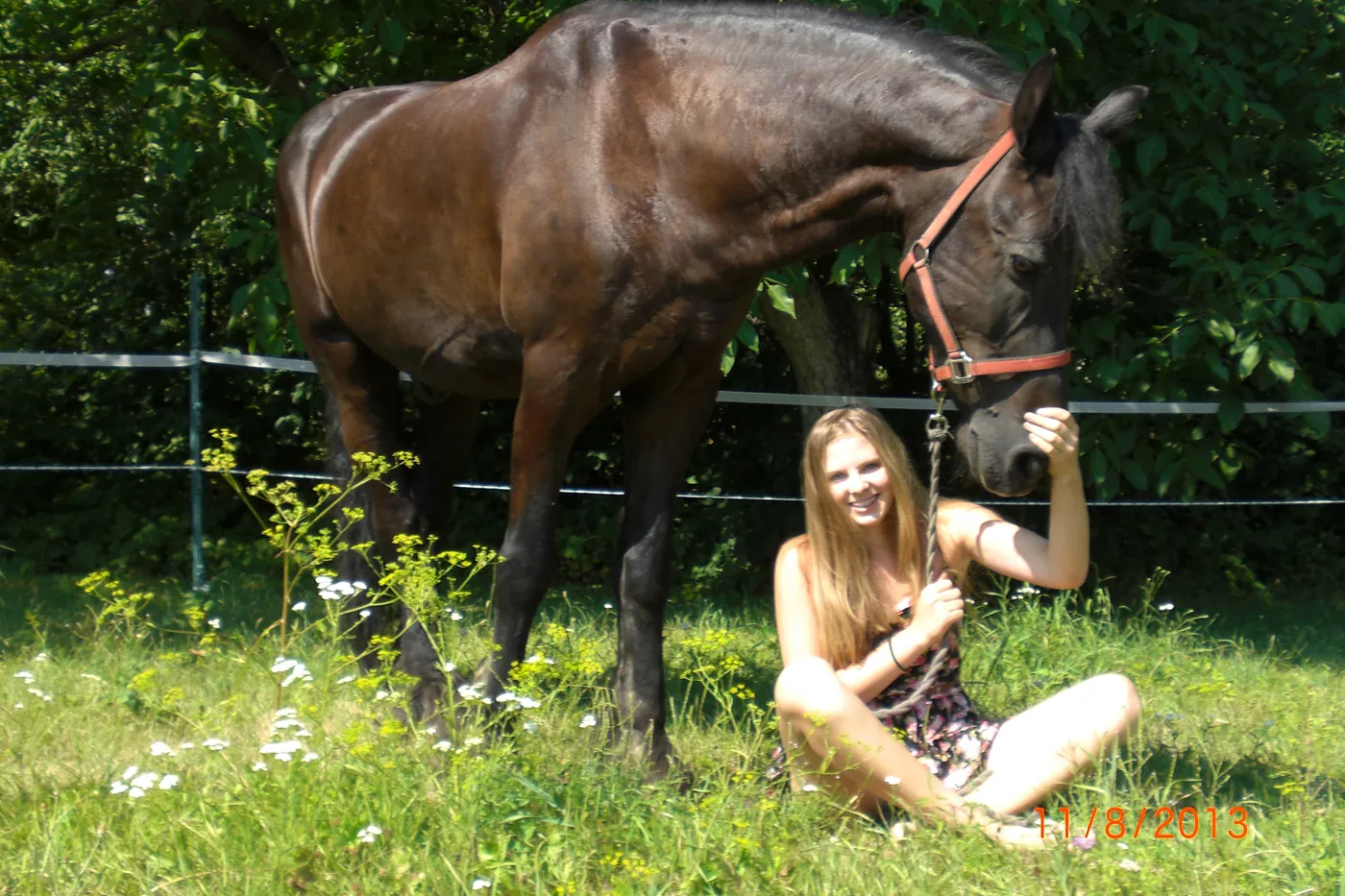 Foto aus Kristinas Zeit mit Schulpferden und Reitbeteiligungen (22 von 27)