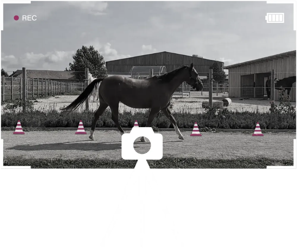 Kamera auf Stativ filmt ein trabendes Pferd auf der Messstrecke