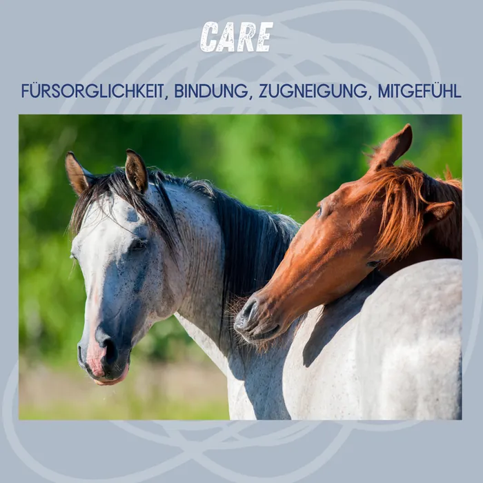 Care