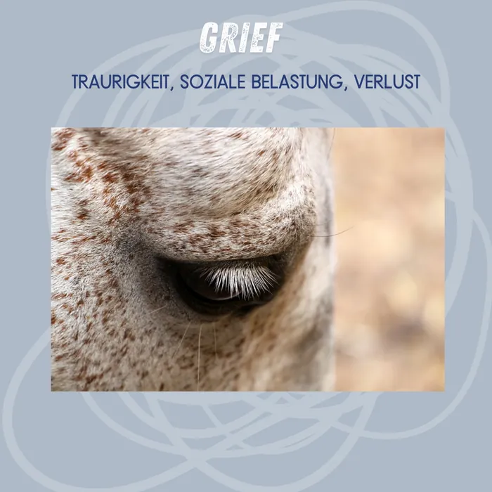 Grief