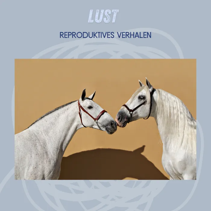 Lust