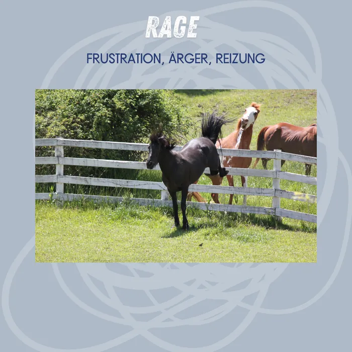 Rage